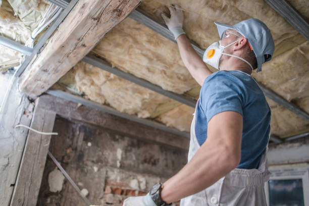 Insulation Repair Services in White Salmon, WA