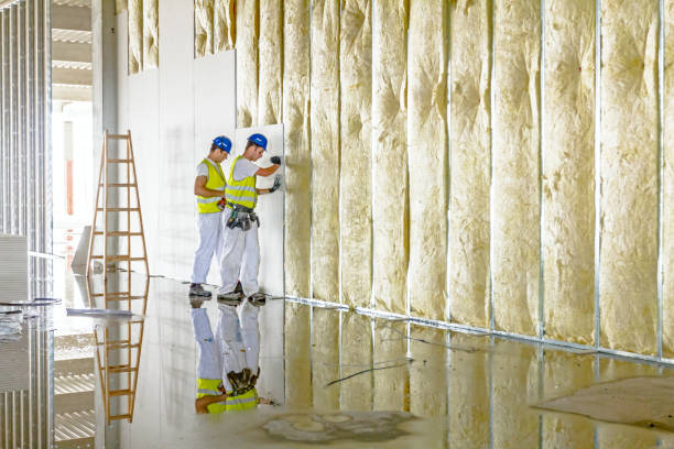 Best Insulation Replacement Services  in White Salmon, WA